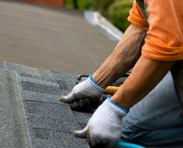 Best Roof Repair Services  in Belmont, MS