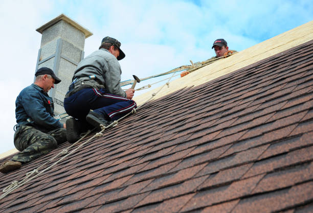 Roof Waterproofing Services in Belmont, MS